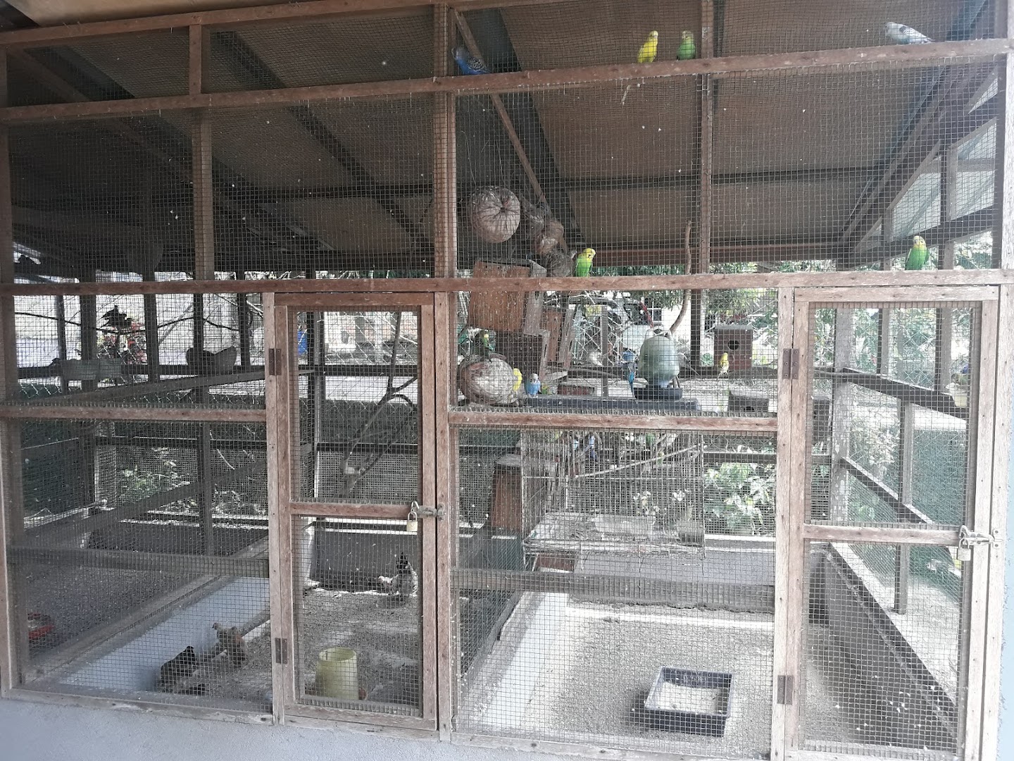 Pakya( Asri) Motor Repair — photo 3