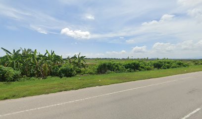 Budak bodo dok race in Yan