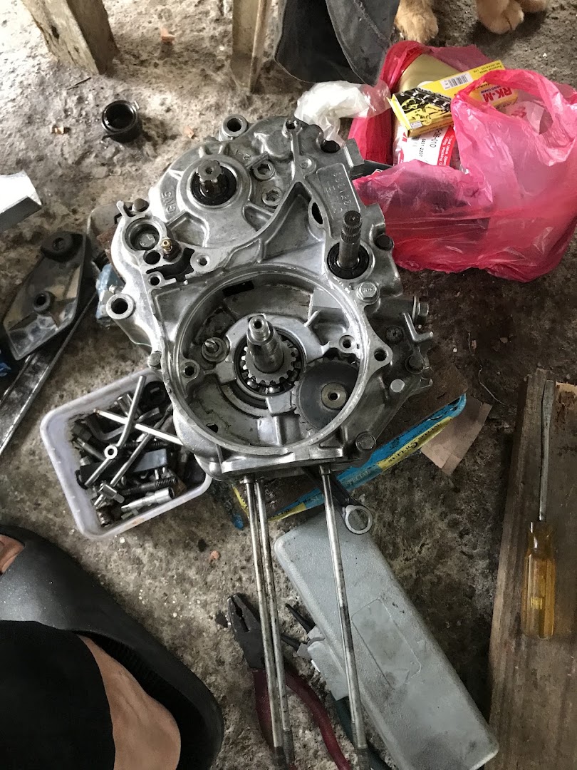 TortoiseRacingGarage — photo 3
