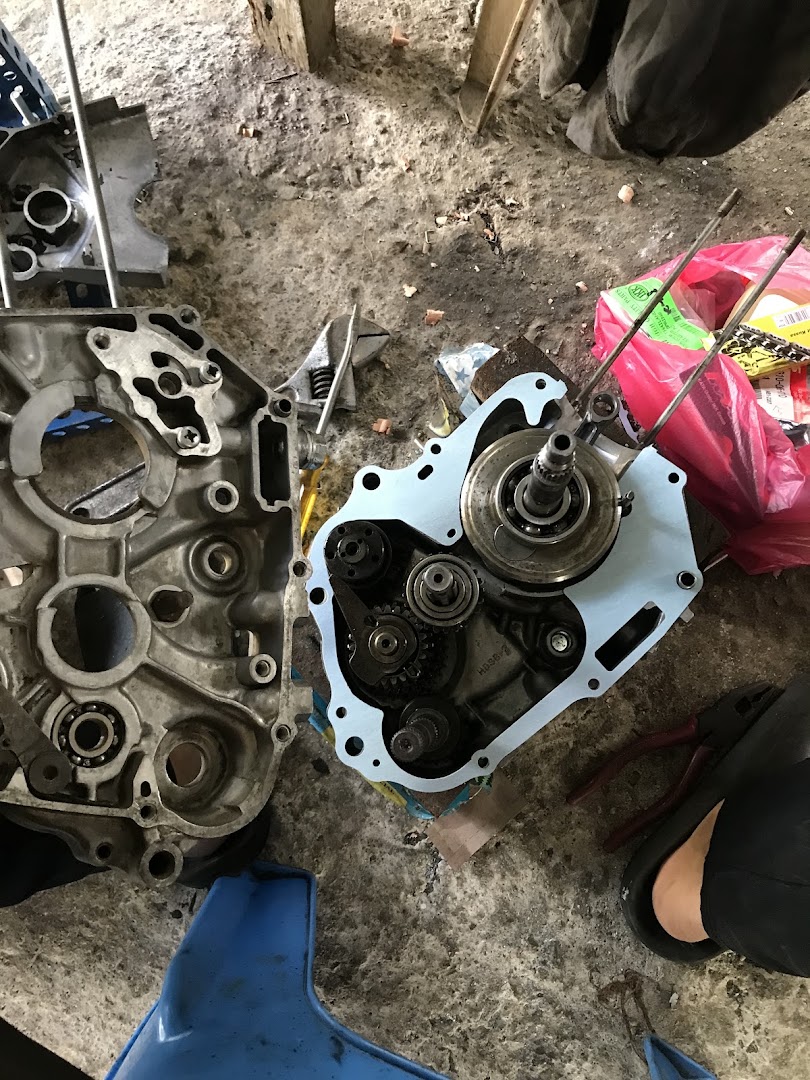 TortoiseRacingGarage — photo 4