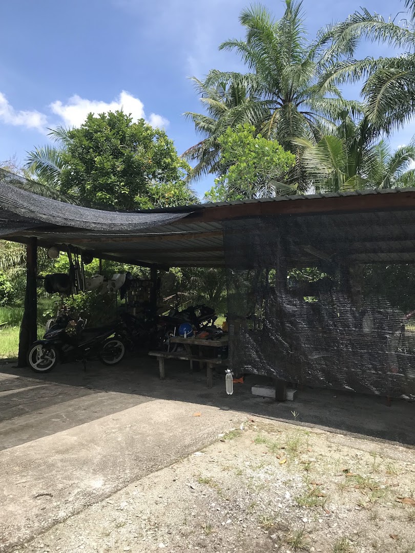 TortoiseRacingGarage — photo 5