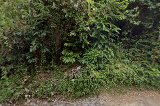 Castrol Bike Point - Hoo Hing Motor in Raub District