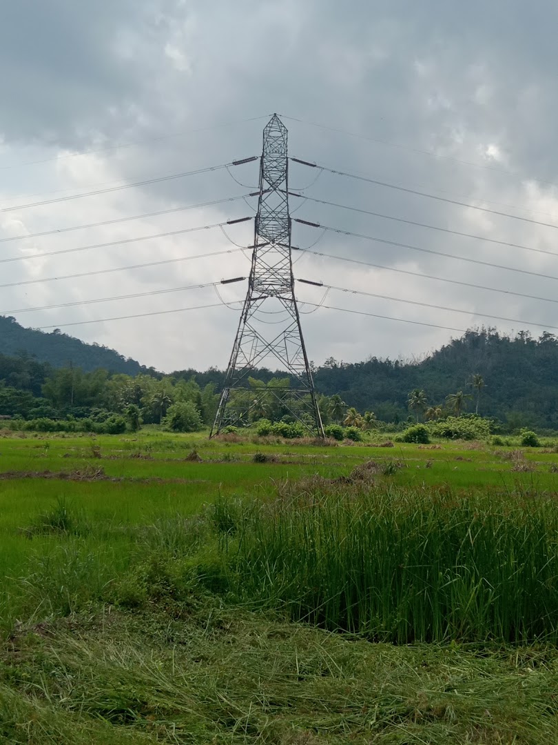 Taman ranau — photo 3