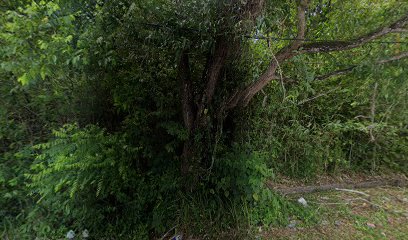 Hatta Motor Garage in Bukit Kayu Hitam