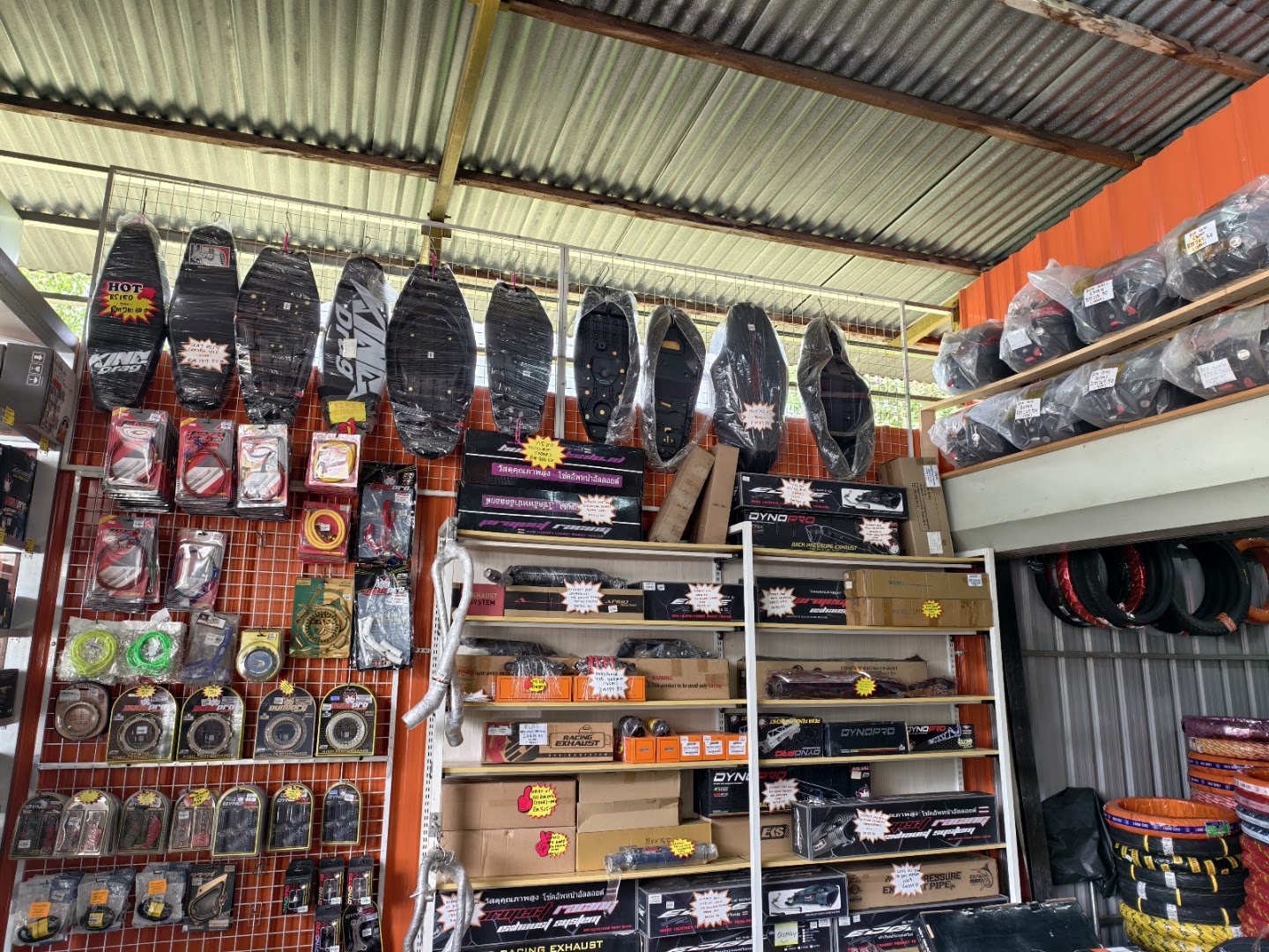 Dynamic Bike (Ranau) — photo 3