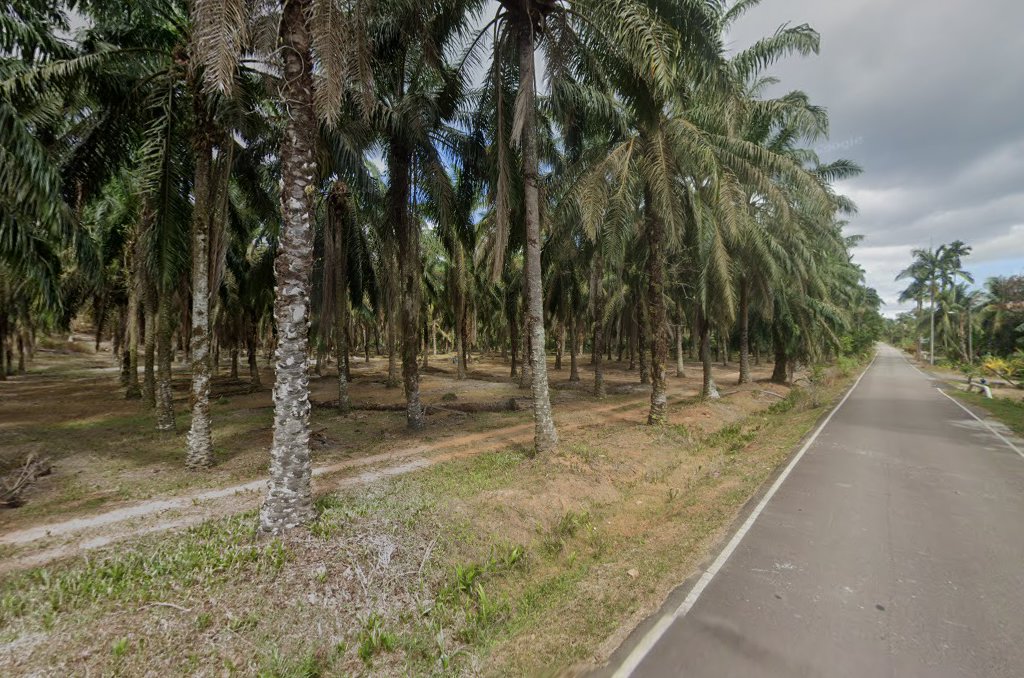 Kawan MOTOR in Kluang