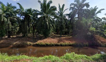 Tl 14 kampung tebing tinggi — photo 1
