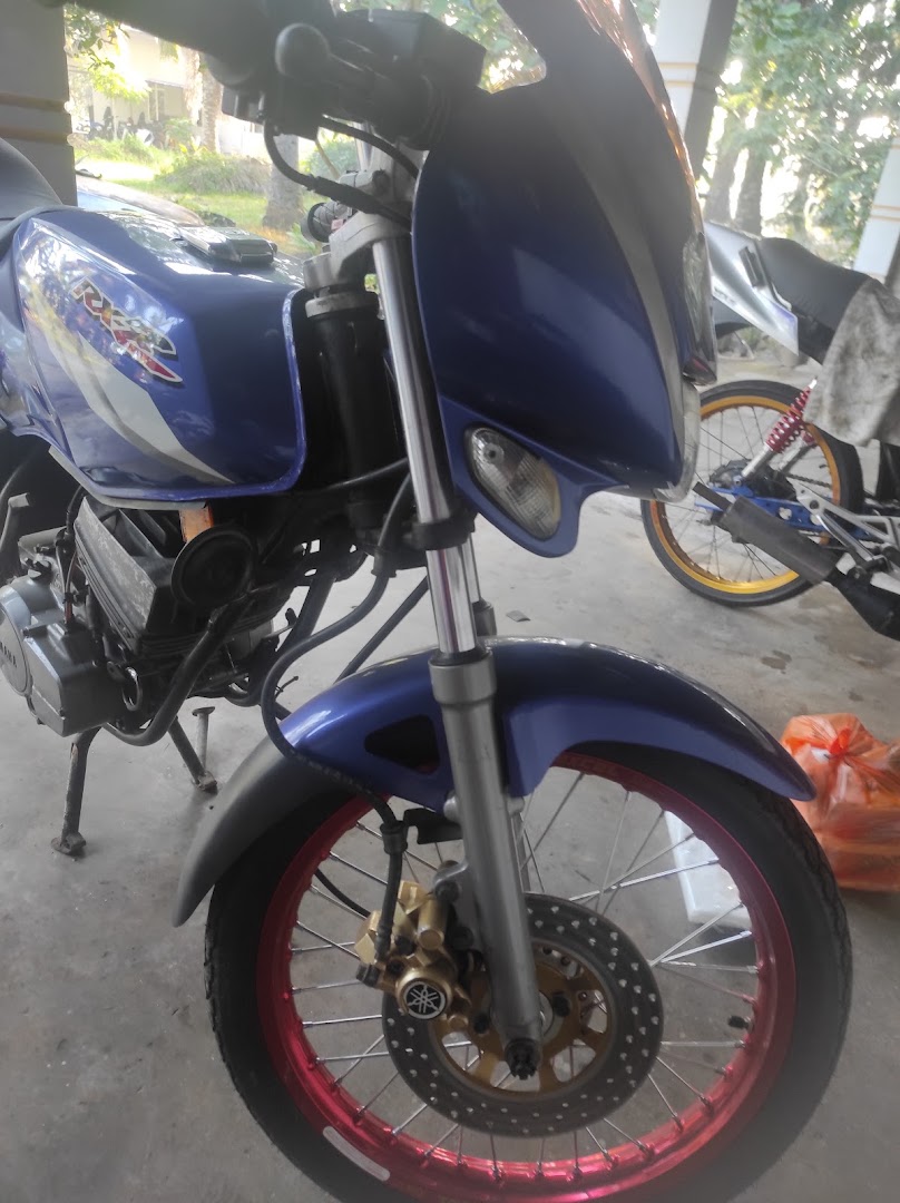 Apis Moto — photo 3