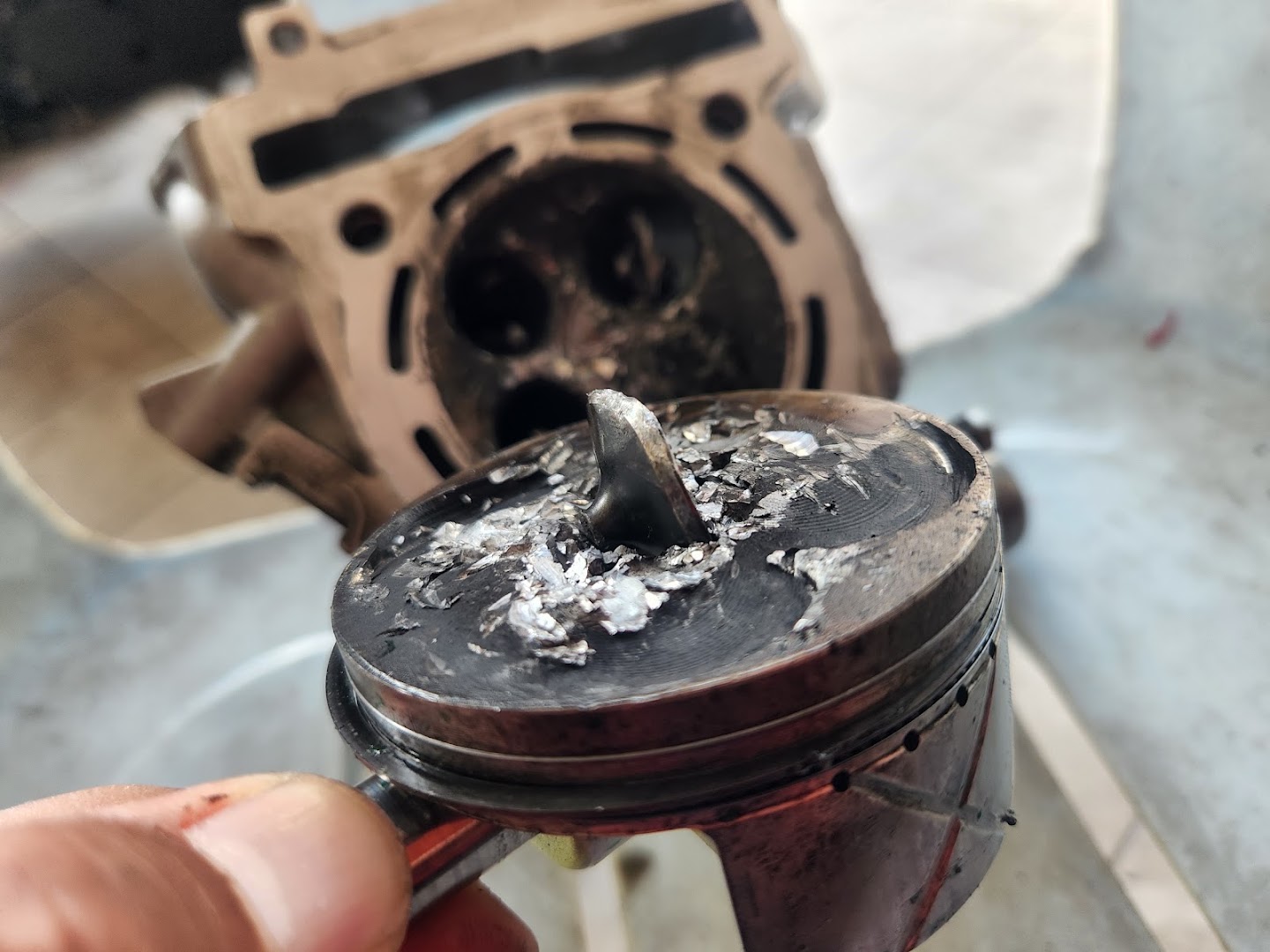 Kapleir Autobikers — photo 4