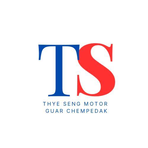 THYE SENG MOTOR ( Guar Chempedak) — photo 3