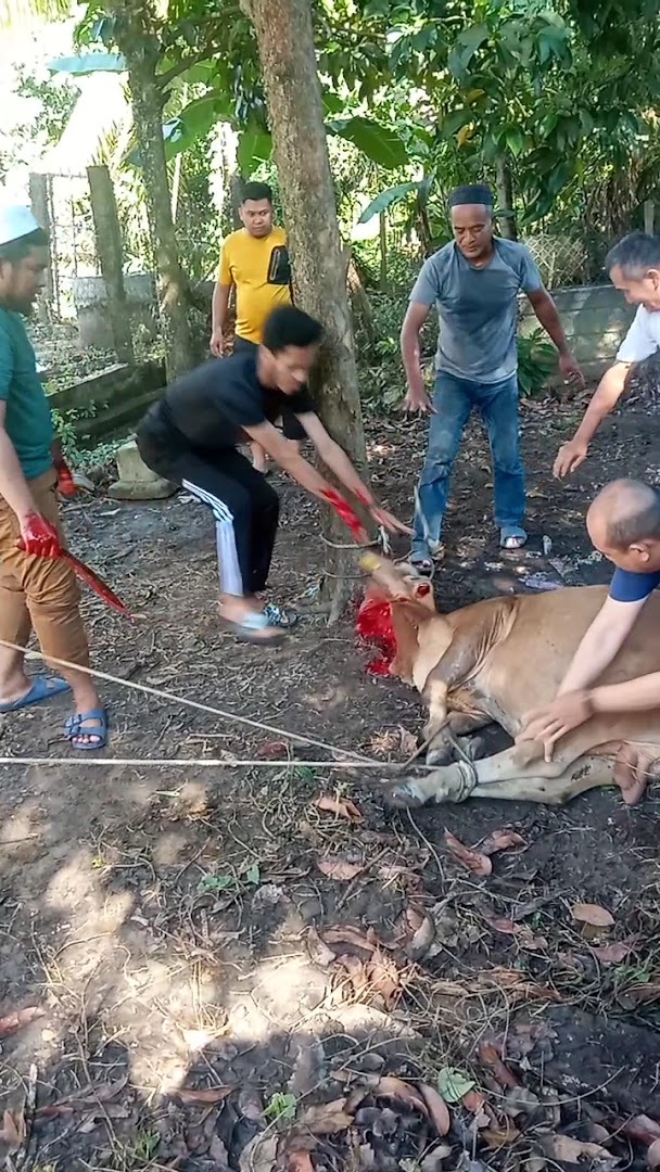 Bengkel motor lotfi kg kenak in Pasir Mas