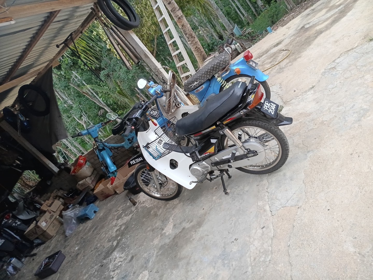 Zam bundle kg sadek — photo 3