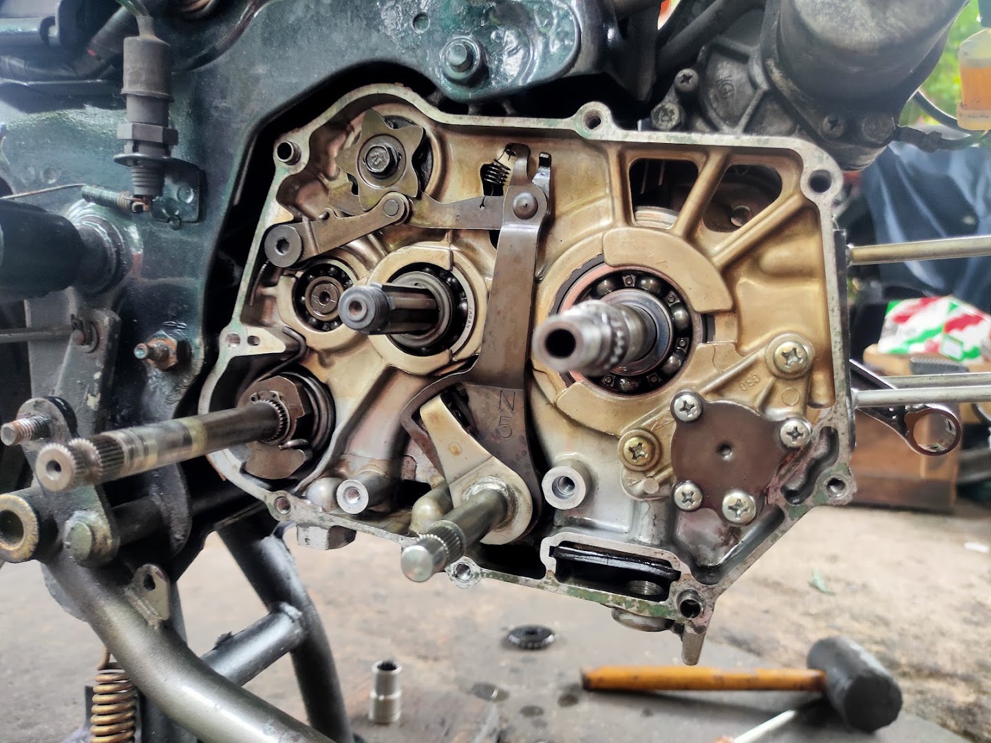 Apex's Garage PNG — photo 3
