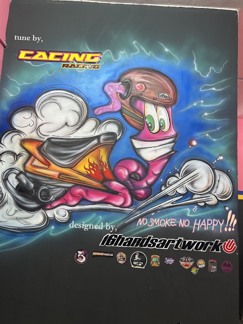 Cacing racing — photo 3